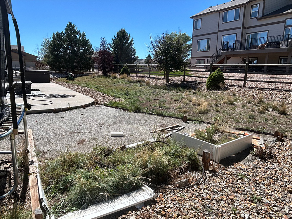 A backyard with patchy grass, loose dirt, and scattered debris. There are some uprooted boards and overgrown plants. Nearby houses and a fence are visible under a clear blue sky.