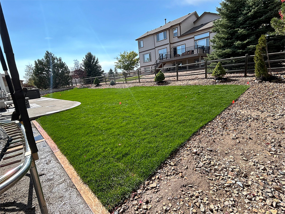 A well-maintained backyard with lush green grass, landscaping rocks, small trees, and a wooden fence. A two-story house and patio are in the background under a clear blue sky.