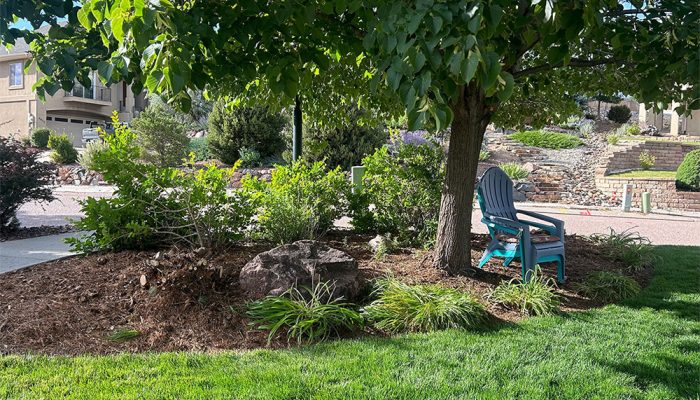 A turquoise Adirondack chair sits under a leafy tree beside a large rock, surrounded by green grass and shrubs in a landscaped suburban yard on a sunny day.