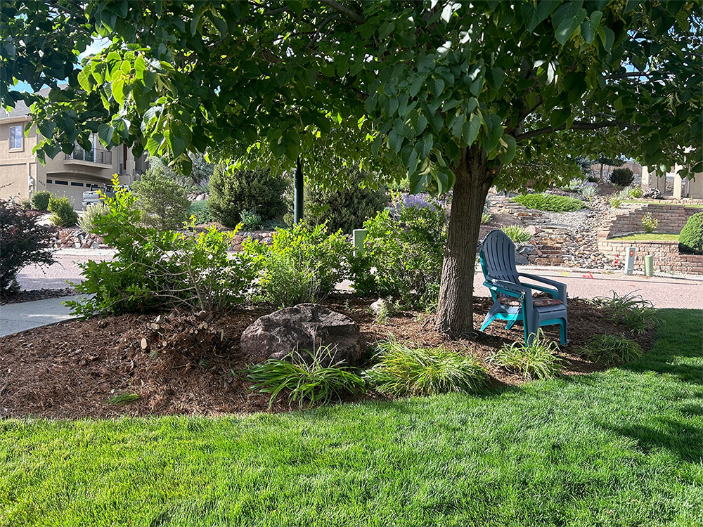 A turquoise Adirondack chair sits under a leafy tree beside a large rock, surrounded by green grass and shrubs in a landscaped suburban yard on a sunny day.