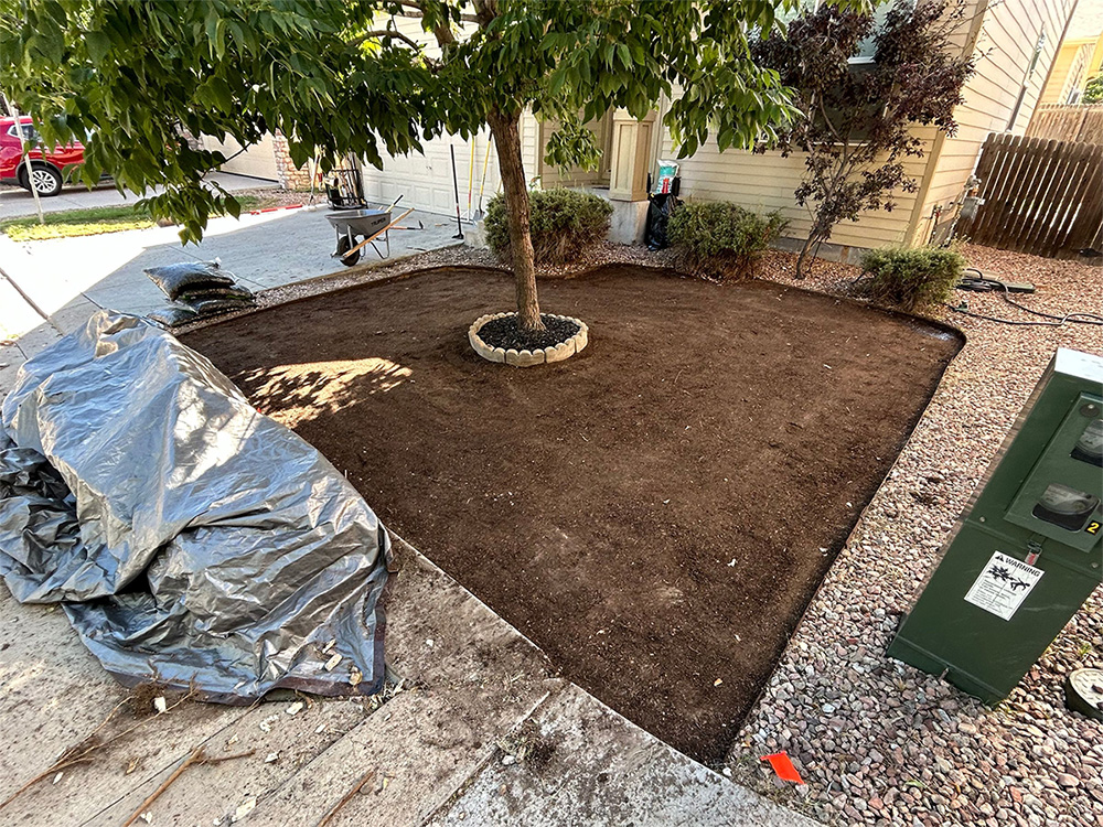 A yard with freshly laid soil, bordered by gravel and a partially covered tarp, surrounds a tree encircled by stones in front of a house. Bushes and a wooden fence are in the background.