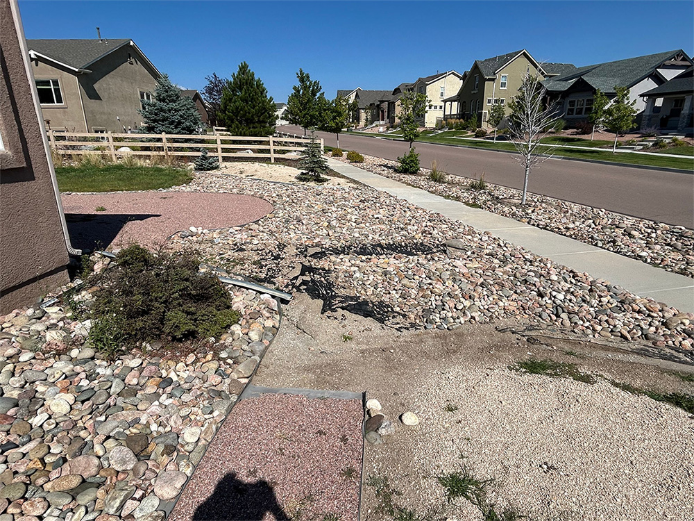 A residential front yard features rock landscaping with small trees and shrubs, bordered by a sidewalk and a row of houses under a clear blue sky. A person's shadow is visible in the foreground.