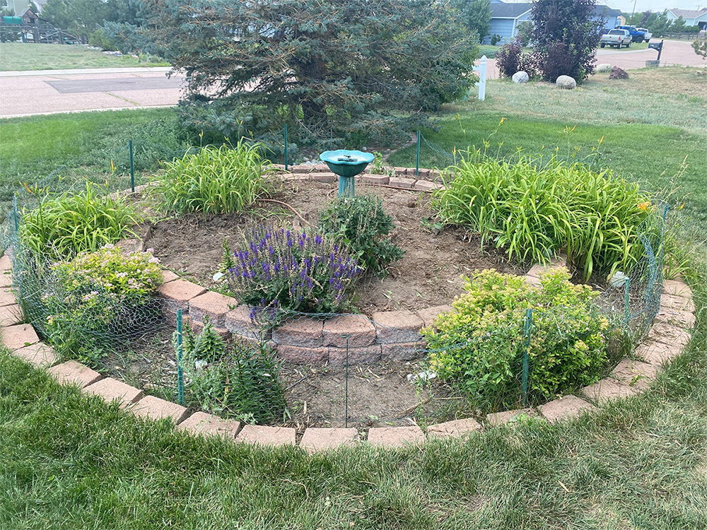 A circular garden bed edged with bricks features green plants and purple flowers, centered around a green birdbath. A tree stands in the background, and the garden is surrounded by grass.