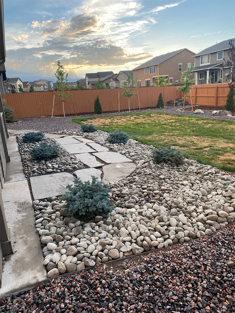 A backyard with a stone and gravel landscape design, featuring small evergreen shrubs, concrete stepping stones, patches of grass, a wooden fence, and neighboring houses under a partly cloudy sky at sunset.