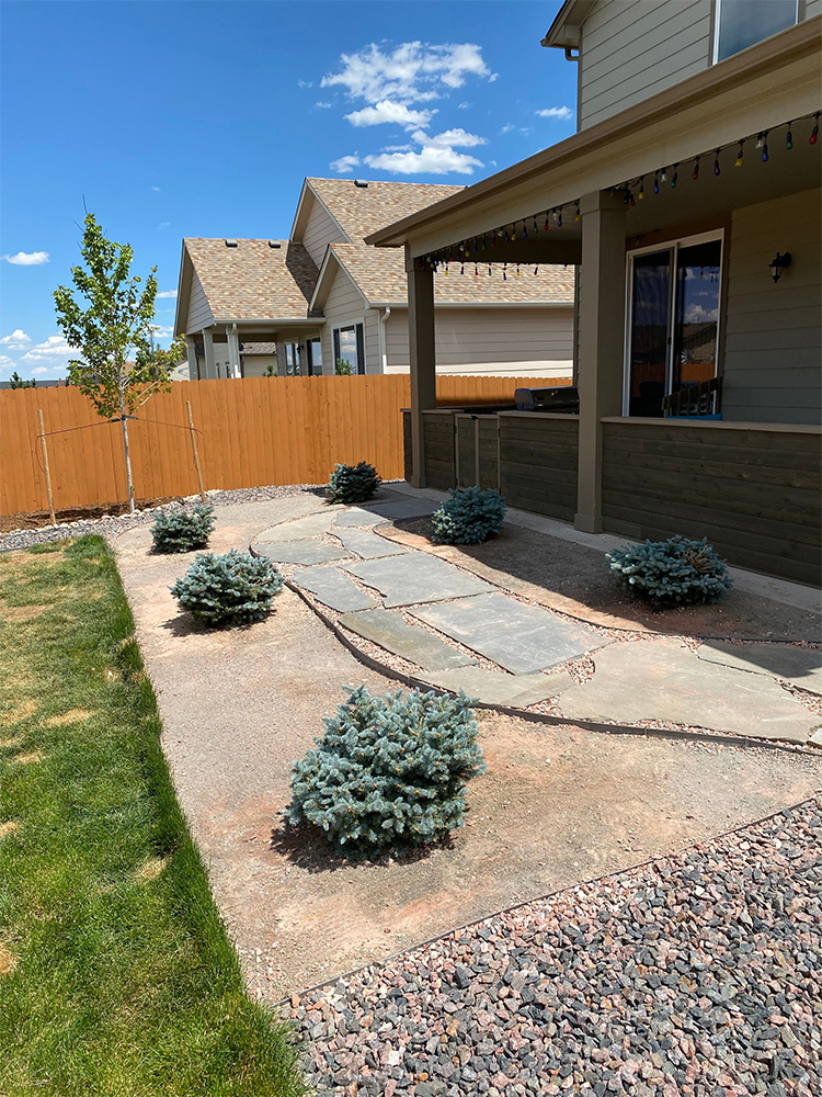 A backyard with a stone path leading to a covered patio, surrounded by small evergreen shrubs, a young tree, gravel, and a wooden fence. Neighboring houses are visible in the background under a blue sky.